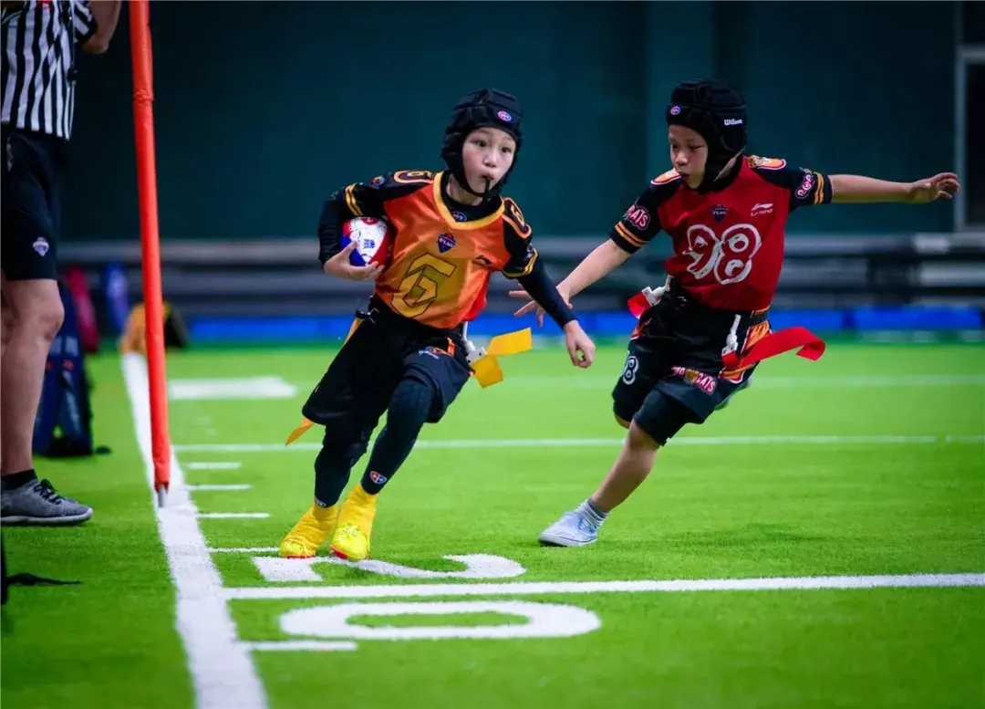 山猫队年轻球员展现潜力，引发关注